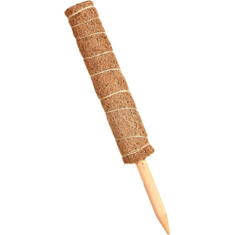 Sollbry 2 estacas de coco para plantas trepadoras, soporte para plantas trepadoras, para jardín (40 cm) (1/5)