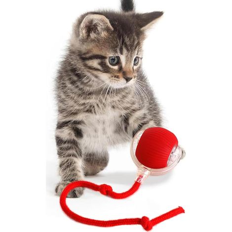Jouet interactif pour chat, balle, jouet électrique automatique pour chats d'intérieur, 3 modes, mouvements irréguliers (1/3)