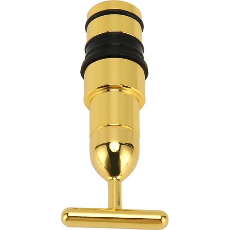 Tête de Massage en Acier Inoxydable pour Visage, Outil de Soin T pour Nettoyage et Hydratation, 0.7 Pouce (1/5)