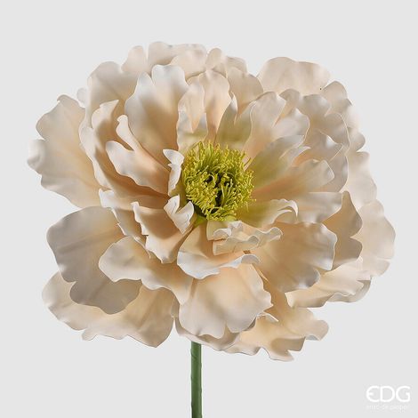 EDG Enzo De Gasperi Decoro Peonia Jumbo H 70 Cm D 80 Cm Rosa Chiaro