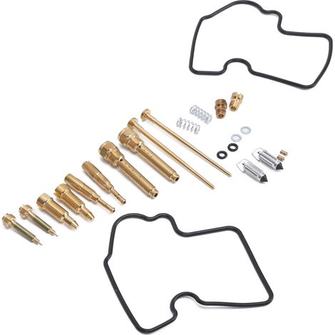 Motorradvergaser-Reparatursatz als Ersatz für Kawasaki Brute Force 750 (2005–2007) (1/5)