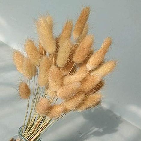 AIDUCHO Lot De 50 Bouquets De Fleurs Séchées - Fleurs Éternelles Séchées - Herbe Séchée - Accessoires Pour Photo - Fête Et Mariage - Couleur Primaire (1/5)