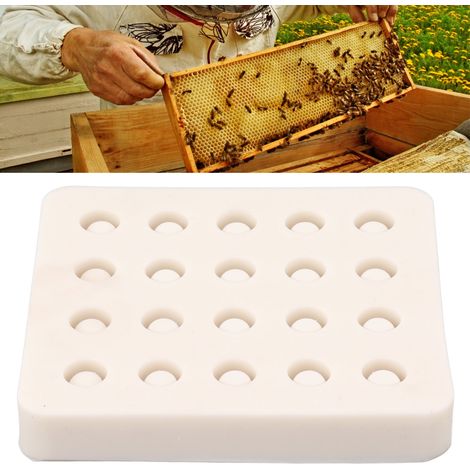 Cire d'abeille, cupule de greffage de reine, moule en silicone, outils apicoles, matériel de production de cellules de cire d'abeille (1/5)
