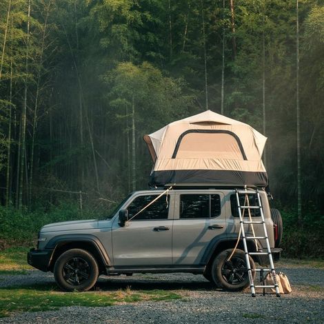 Tente de toit gonflable 2-3 personnes, tissu Oxford 300D imperméable anti-UV, avec pompe manuelle et échelle télescopique, pour SUV camping, beige/noir
