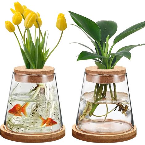 Juego de 2 jarrones de vidrio hidropónicos con base y tapón de corcho, jarrón de mesa transparente, macetas hidropónicas para el hogar, la oficina y como decoración de mesa.