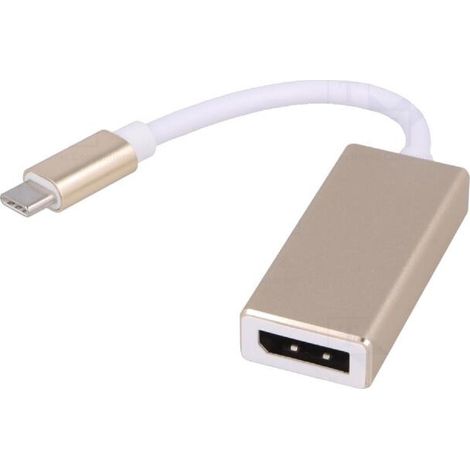 Adaptateur USB 3.1 DisplayPort femelle vers USB C prise 15cm