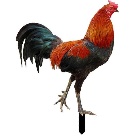 Piquet décoratif pour jardin, statue de coq, figurine en acrylique, sculpture animale pour jardin, porche, allée, cour-Style A