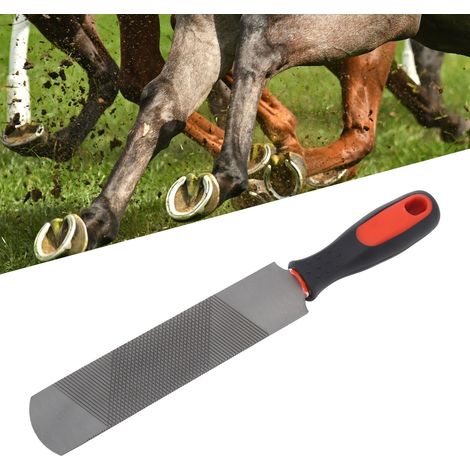 Escofina para cascos de acero al carbono de 8 pulgadas con mango ergonómico y suave para caballos y ponis. Tamaño: 32,5 cm. Modelo profesional. (1/5)