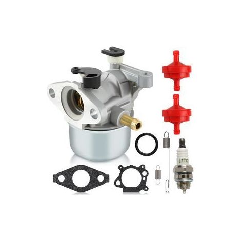 799866 Vergaser für 190-cm³-Motor der Serie 675 – 6,25–6,75 PS, Rasenmäher, Easy Start (1/5)