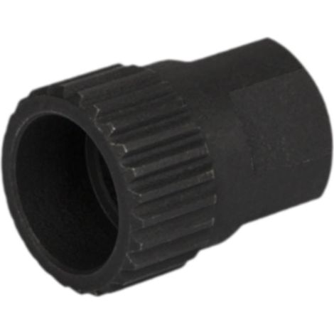 Extracteur de Cassette Vélo Outil Démontage Corps Main Acier pour (1/5)