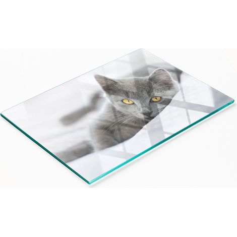 Tablero decorativo multifuncional de vidrio templado con diseño de gato gris, 80x52 cm. (1/5)