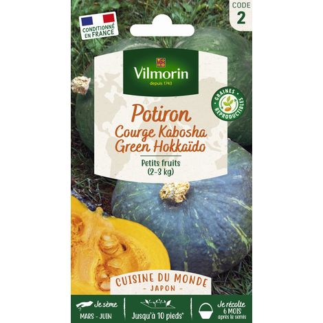 Potiron (Courge Kabocha) Green Hokkaido - Cuisine du Monde Vilmorin