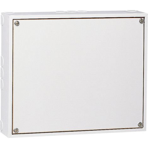 Elektrisch Verdeelpaneel 250x300mm Legrand LEG039142
