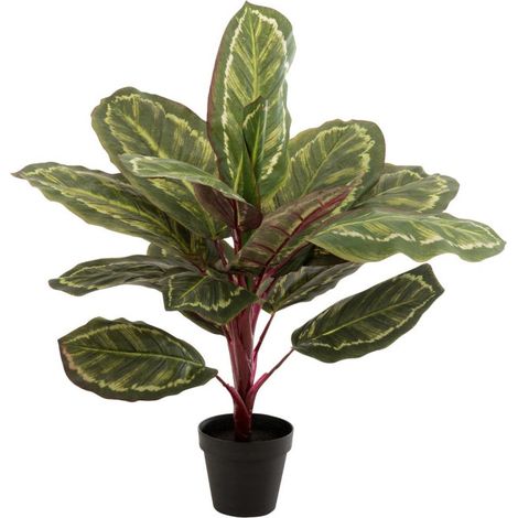 Plante Artificielle en Pot "Peacock" 60cm Vert