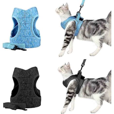 MINE Harnais pour chat Ensemble harnais et laisse pour chat Ensemble laisse et harnais pour chat Ensemble harnais et laisse pour chat (1/4)
