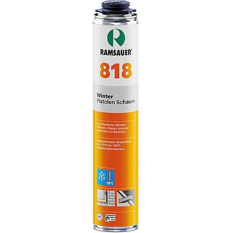 Mousse expansive hiver 818 plus catégorie de feu B3 - NBS 750 ml pour Autriche/Suisses