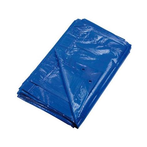 BÂCHE OUTIROR solide et légère, de qualité ECOPLATINIUM BLEUE Dimensions: 5m X 8m (1/7)