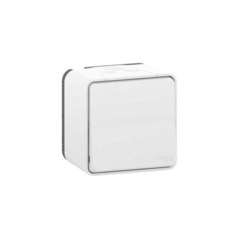 Pulsador MUREVA blanco IP55, 10 A, 250 V AC, montaje en superficie, resistente a químicos