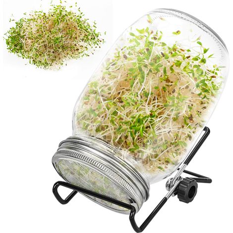 Randaco Tarro de germinación 2x1L con rejilla de acero inoxidable, soporte y bandeja recolectora, higiénico y fácil de limpiar