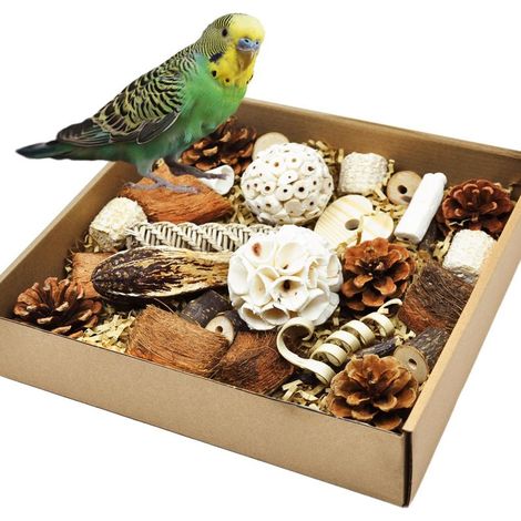 Irovami Coffret de jeu de mordillement pour oiseaux, puzzle et recherche de nourriture, ensemble de jeu à monter soi-même, marron (1/5)