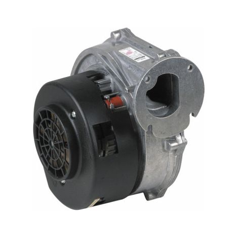 Ventilateur - RIELLO : 4365929