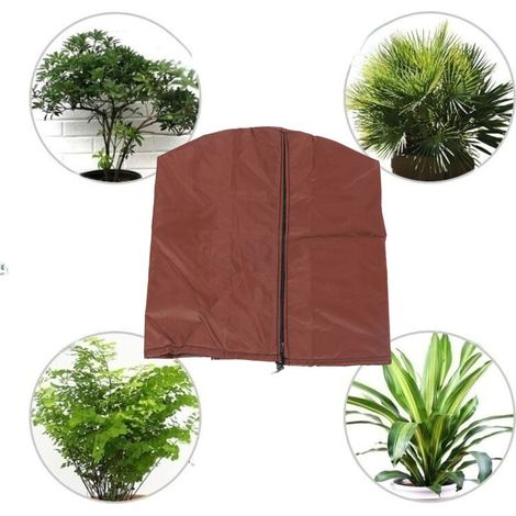 Fundas protectoras contra las heladas para plantas, cubiertas aislantes de invierno para arbustos y frutales en maceta, con tejido protector reutilizable. (1/3)