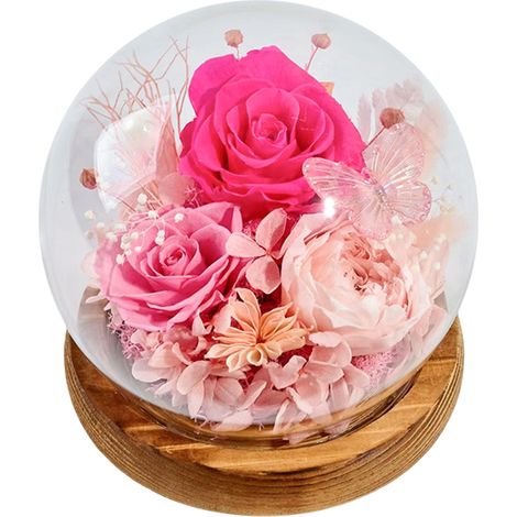 Rosas preservadas bajo una cúpula de cristal, ideales como regalo para cumpleaños, Navidad, San Valentín, aniversarios de boda, Acción de Gracias o el Día de la Madre...
