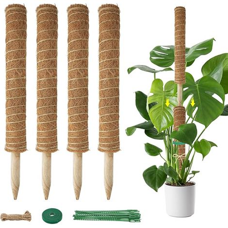 Long Extension Plant Support (1/2)
