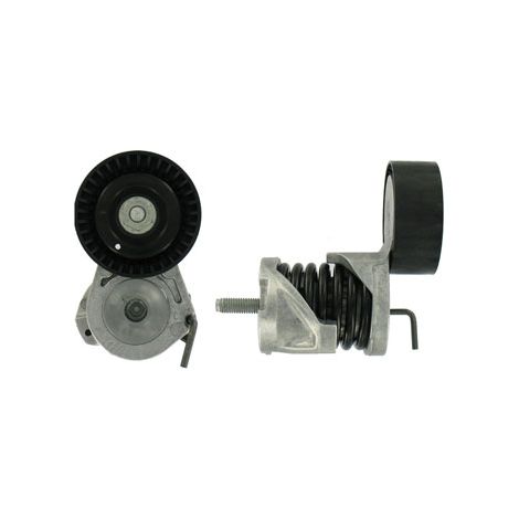 Tensor de correa trapezoidal SKF BMW E81/E87