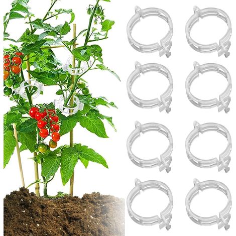 Kindfiber OÜ-300 Pieces Clips Tomate pour Plantes, Tuteurs pour Plantes Clips en Plastique Tiges de Plantes Clips, Clips pour Fixation de Croissance des Plantes (1/5)