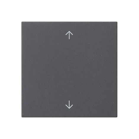Gira Wippe 1f Pfeile System 55 Anthrazit [538928], 5389 28