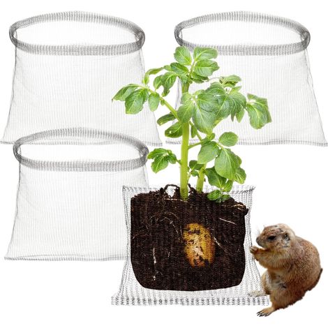 Lot de 4 protections de racines en maille pour plantes - 60x60cm - En acier inoxydable - Pour les baies et les campagnols - Protection des racines (1/5)