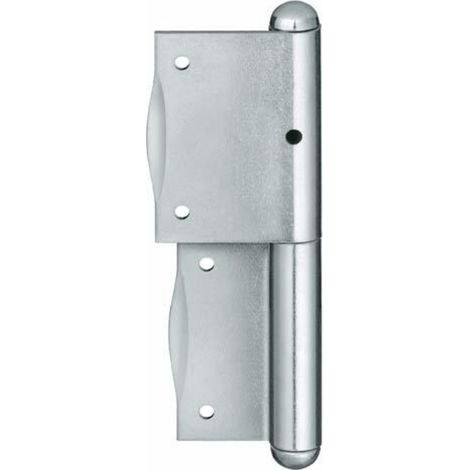 Charnires de fentre galvanises C 3 100 mm (1/2)
