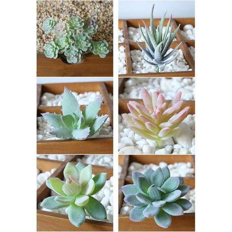 Succulentes Artificielles Plantes,6 Pack Mini Plantes Vertes Non en Pot Faux Fleur Mini Echeveria Pics Tiges en Vrac pour Bureau à Domicile et Décoration Extérieure (1/5)