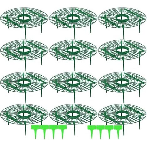 Lot de 12 supports pour fraises - Pour salade, tomates, plantes, légumes, fleurs, escargots Protection contre la pourriture Pcs (1/5)
