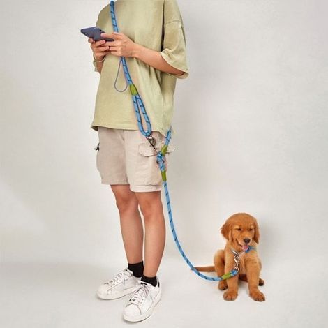 Laisse pour chien Harnais Laisse pour promenade pour chien Laisse mains libres-b (1/2)