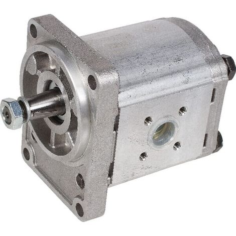 Motore idraulico PLM20.20R0-54B2 CASAPPA PLM2020R054B2 (1/5)