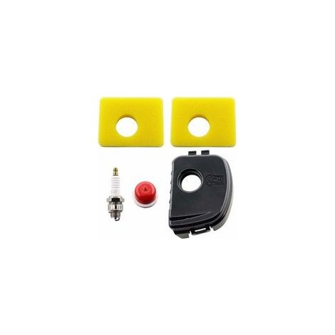 Filtre à air - Pour Briggs & Stratton 300e 450e 550e - Série 595660, 594281, 799579, 5434, 4248, 09P702