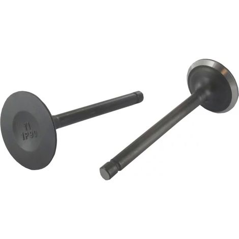 Kit: valvole aspirazione scarico ORIGINALE STIGA trattorino tagliaerba 118551289/0