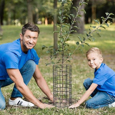 Protections pour plantes, protections pour troncs d'arbres, protections de jardin pour prévenir (1/4)