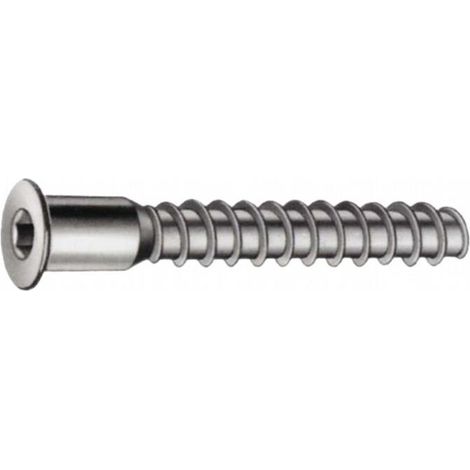 FPLUS tornillo ensamblar 5x50 x100 , PARA EL ENSAMBLAJE DE TABLEROS DE AGLOMERADO

CINCADO

CABEZA ALLEN 

DIAMETRO 5 MM

LONGITUD 50 MM