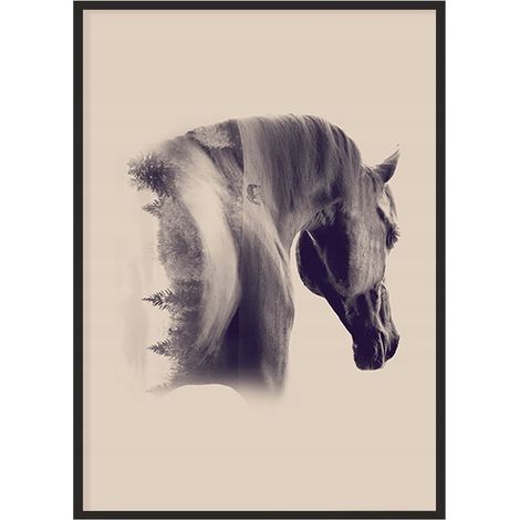 Bild Poster im Rahmen 43x33cm Pferd P1228 (1/4)