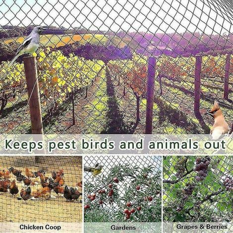 1x Filet de protection,Nylon,Résistant UV,Pour jardin,Arbres fruitiers,Légumes (1/5)