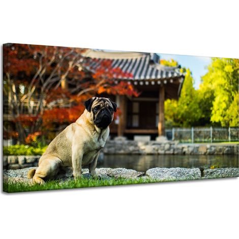 Leinwanddruck Tiere Mops Hund 120x60 cm