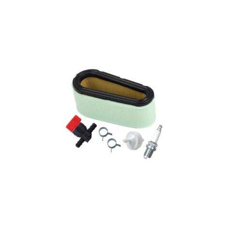 496894 Prefiltro de aire con filtro de combustible 394358 494768 Válvula de cierre para motores monocilíndricos HP 12.5-17-Crezuo
