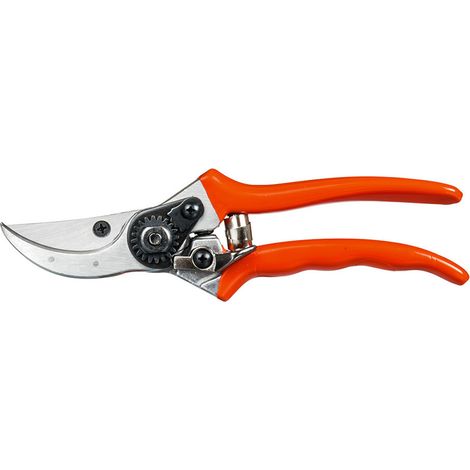 Sécateur - Ciseaux De Jardin Universel Longueur: 21cm - Stocker (1/2)