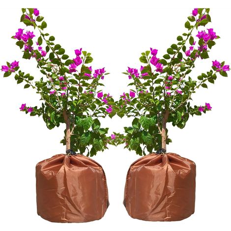 2 Voile Hivernage Plante Exterieur Pot, Housses de Protection pour Plantes en Pot, Thermo Sac Hivernage Protection Pot de Fleur Hiver Protection Hivernale pour Citronniers palmiers (2pcs 45 X 50cm) (1/5)