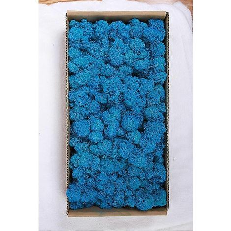 Décoration murale en mousse préservée. Véritable mousse préservée. Aucun entretien requis. Mousse naturellement préservée - Bleu ciel. (1/5)