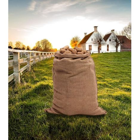 Grands sacs en jute 80 x 50 cm - Lot de 2 - Sac en jute naturel pour bricolage, décoration, jardin, boîtes à objets, Noël, fêtes (1/4)