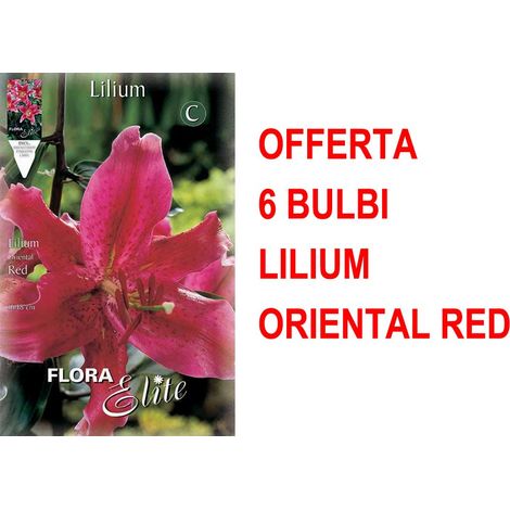 OFFERTA 6 BULBI LILIUM ORIENTAL RED